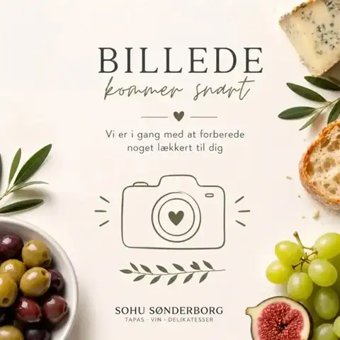 Vegetar Tapas fra SOHU